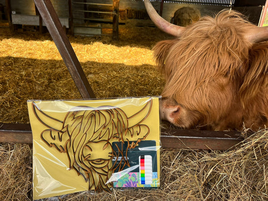 Colour & Moo