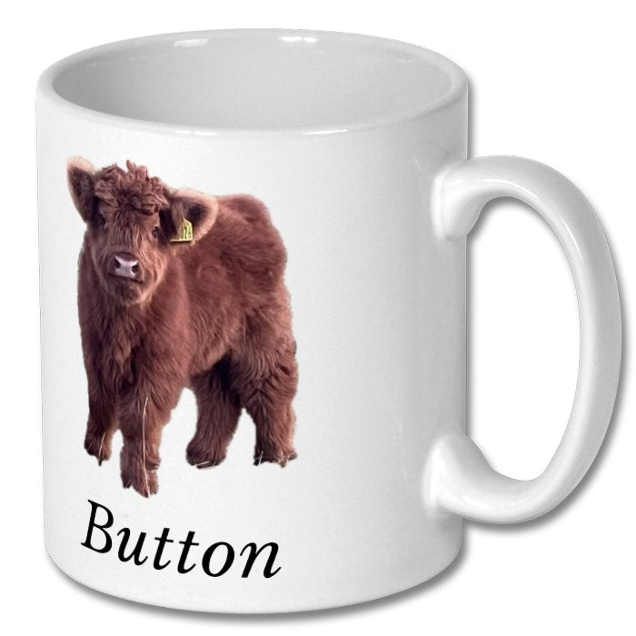 Colready Highland Mugs