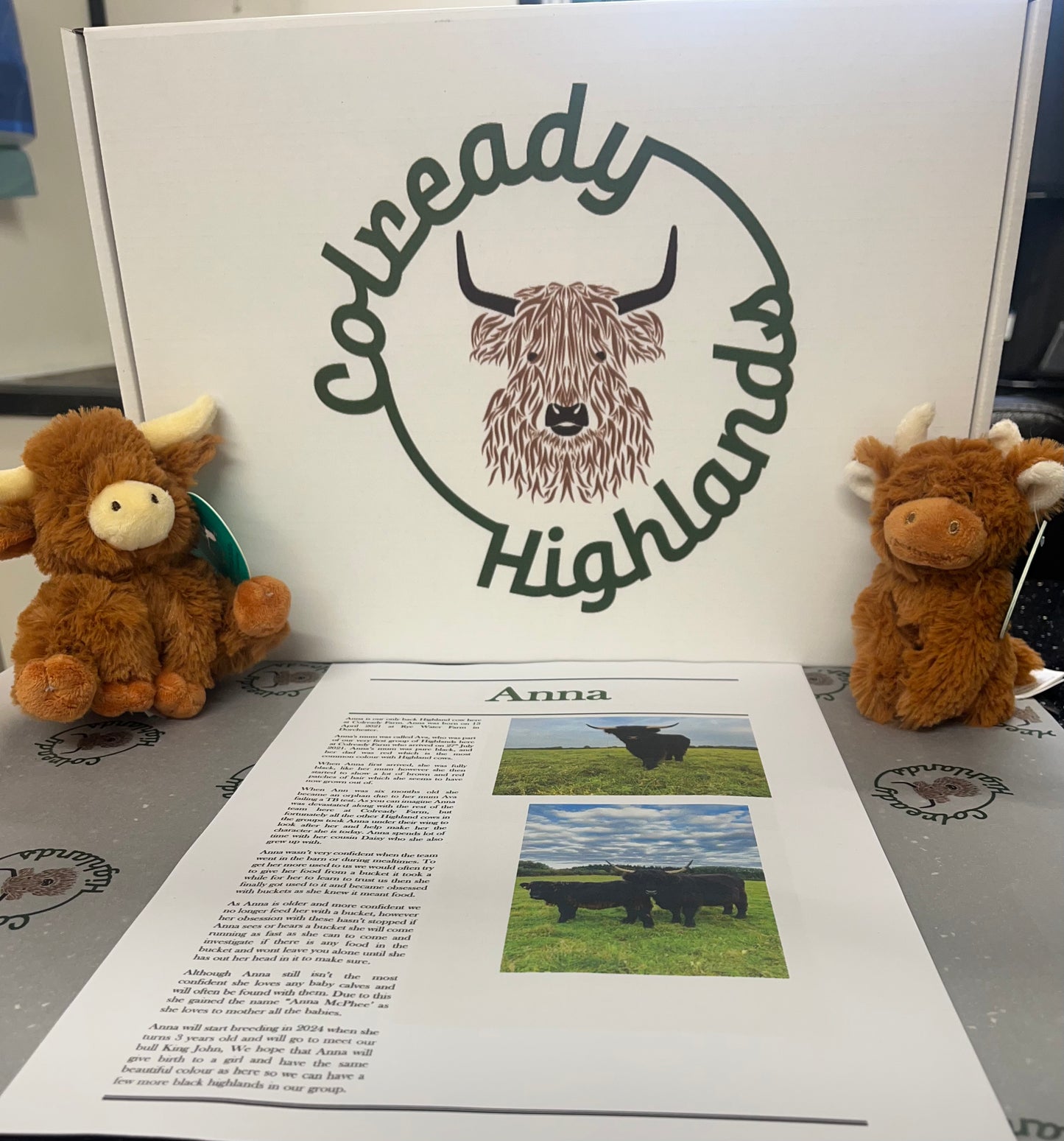 Adopt a Highland package