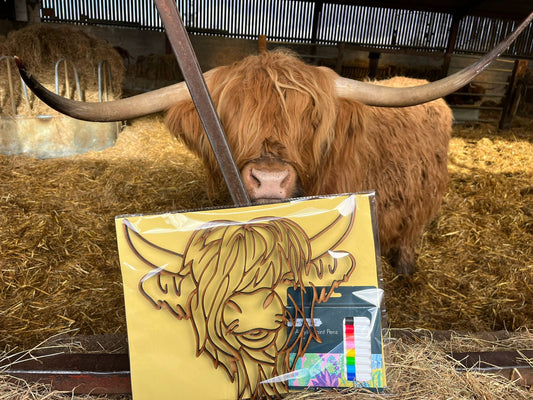 Colour & Moo