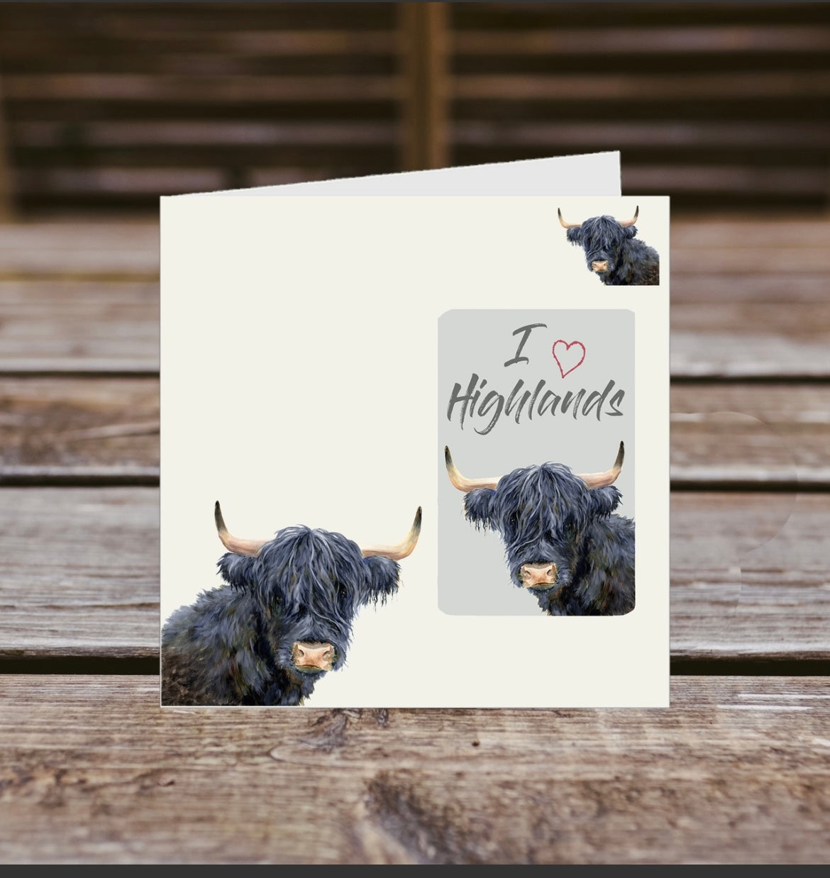 Black Highland Fridge Magnet and Greeting card