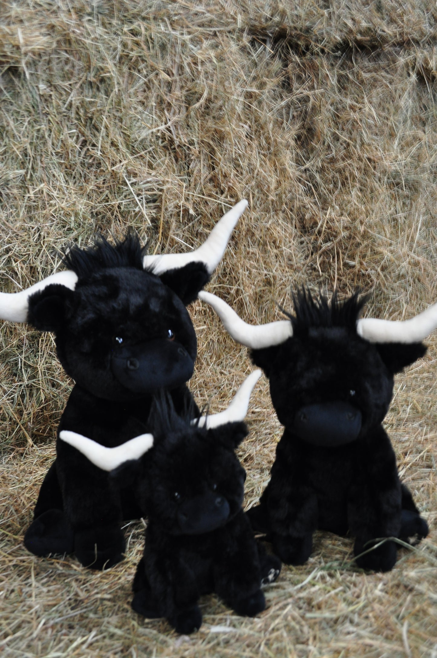 Mini Black Highland cow