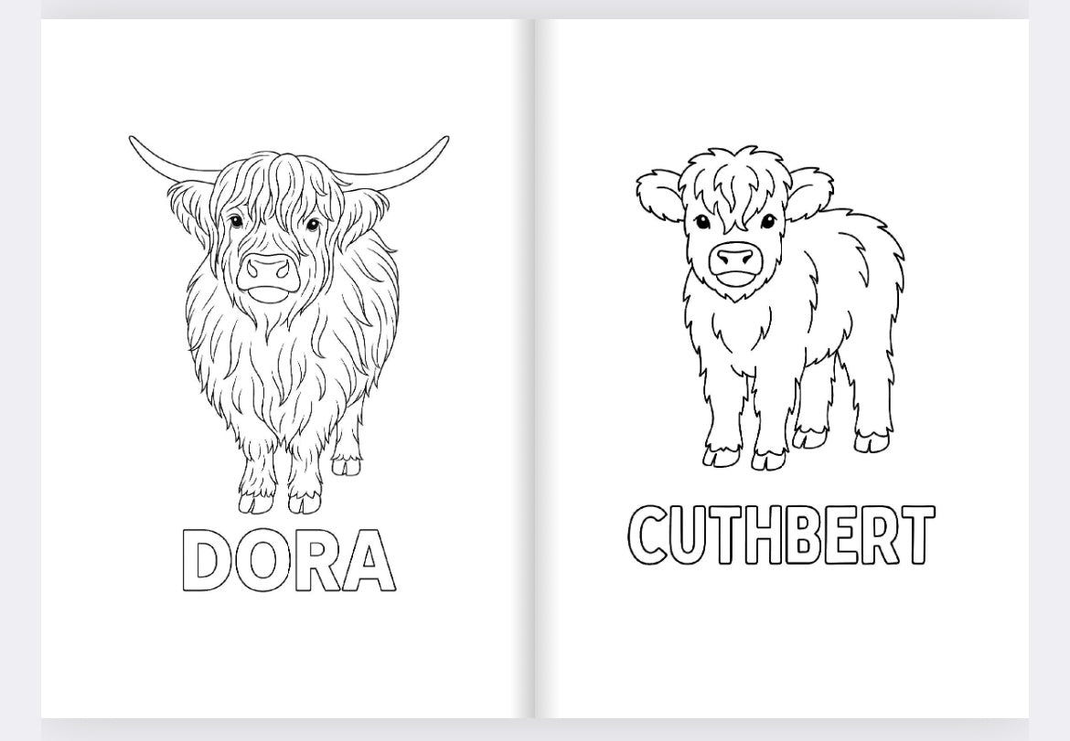 Colready Highlands Colouring Book