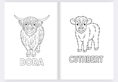 Colready Highlands Colouring Book