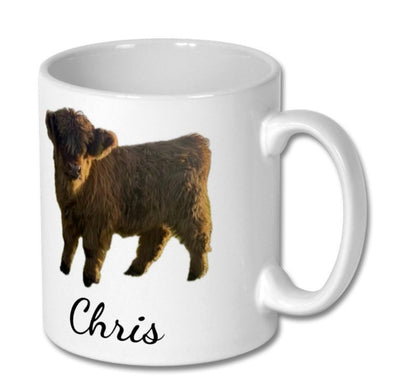Colready Highland Mugs
