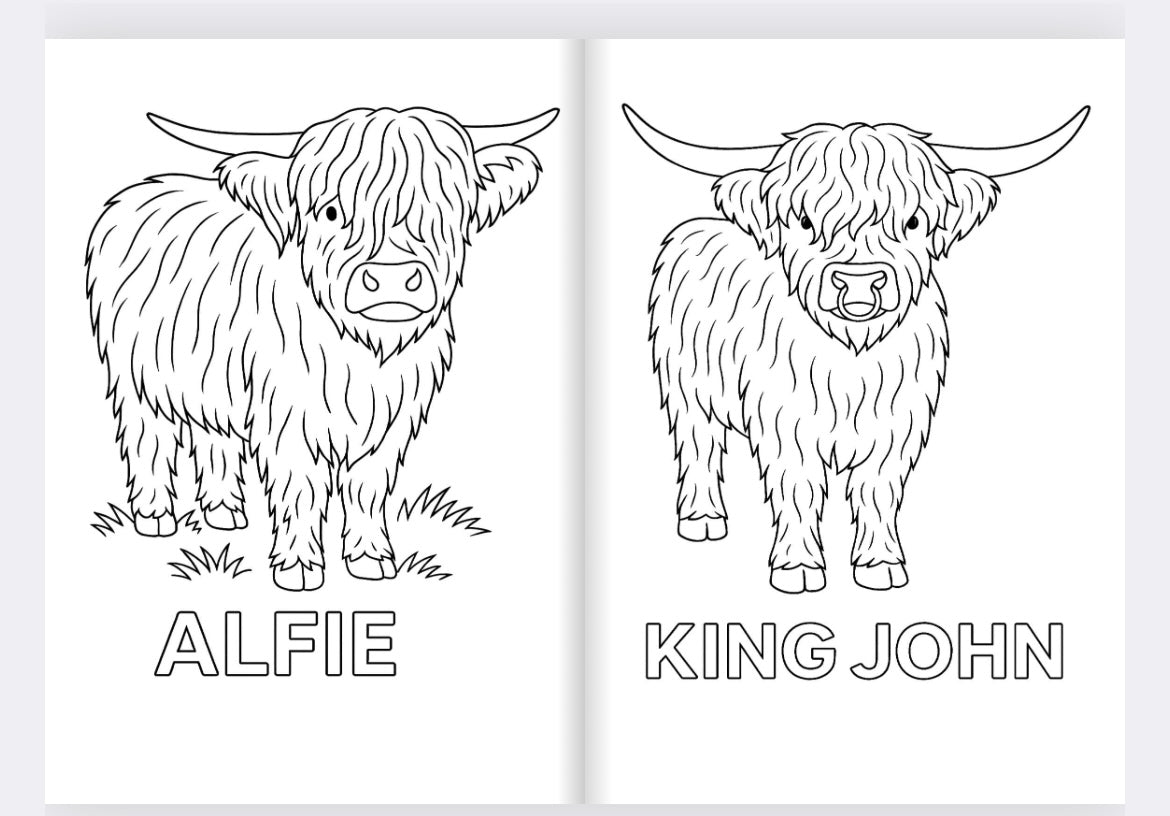 Colready Highlands Colouring Book
