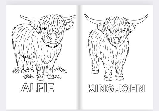 Colready Highlands Colouring Book