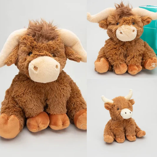 Male Highland Cow Teddy