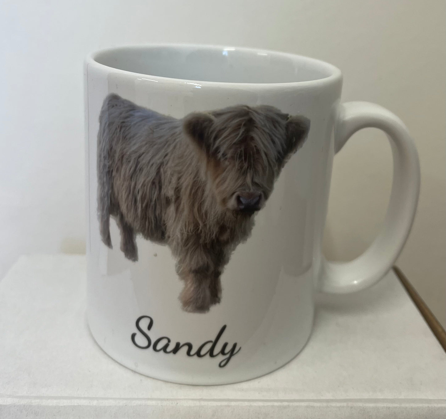 Sandy Mug